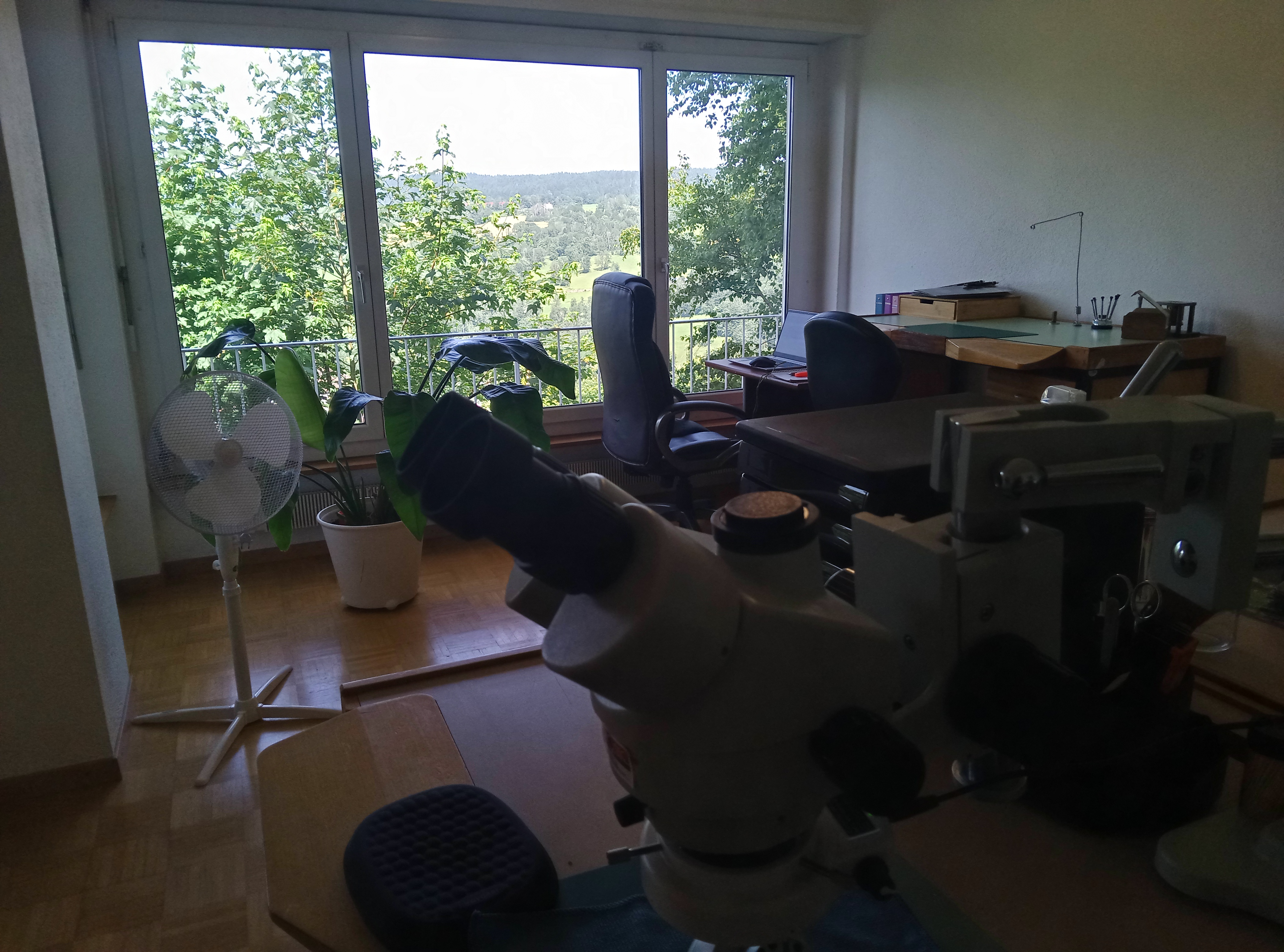 Collection de limes d'anglage de différentes granulométries